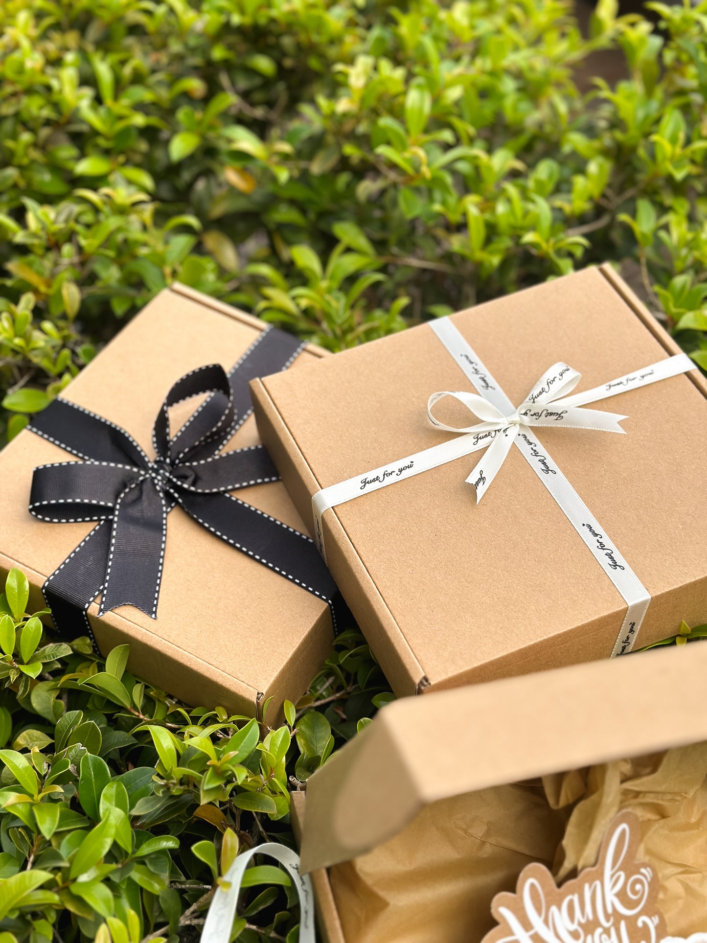 Growing Strong Gift Set 🎁 📖